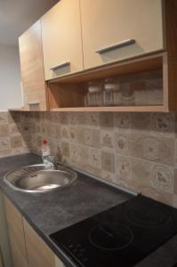 a kitchen with a sink and a counter top at Apartman N&A in Novi Sad