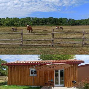 une maison où des chevaux paissent dans un champ dans l'établissement sasu eco nature, à Vendays-Montalivet