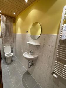 a bathroom with a sink and a toilet and a mirror at Ferienhaus Sofia in Urschmitt