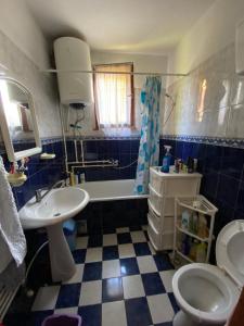 y baño con lavabo, aseo y bañera. en Apartman Zivic, en Berilovac