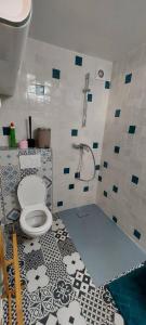 ein Bad mit einem WC und einer Dusche in der Unterkunft Vie Agréable JARDIN GRANDE CUISINE SALON 2 CHAMBRES in Soisy-sous-Montmorency