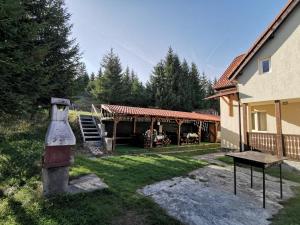 a backyard with a house and a table and a grill at Cabana Alina in Păltiniş