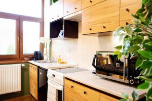 Kuchyň nebo kuchyňský kout v ubytování Apartmán u Horynů - Sadová