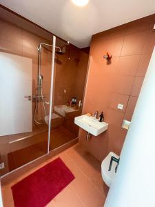 ein Bad mit einer Dusche, einem Waschbecken und einem WC in der Unterkunft Apartman Bratrouchov in Jablonec nad Jizerou