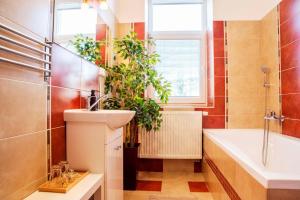 Koupelna v ubytování Apartmán u Horynů - Sadová