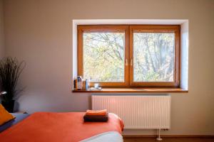a window in a room with a bed and a radiator at Apartmán u Horynů - Sadová in Česká Třebová
