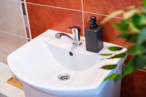 Koupelna v ubytování Apartmán u Horynů - Sadová