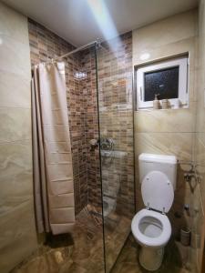 Planinska kuca NATURA في فلاسيتش: حمام مع مرحاض ودش زجاجي