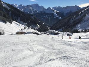 Afbeelding uit fotogalerij van Haus Glatthorn in Faschina