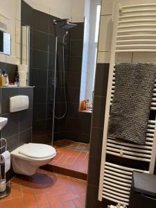 a bathroom with a shower and a toilet in it at Schönes Loft mit Kamin in Mitte Gesundbrunnen in Berlin