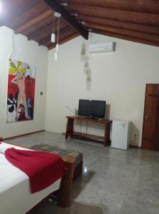 a living room with a bed and a tv at Brisa da Serra Hotel Pousada Pirenopolis in Pirenópolis