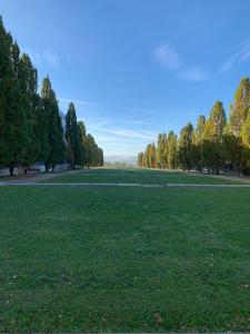 ein großes grünes Feld mit Bäumen im Hintergrund in der Unterkunft Eine gemütliche Einzimmerwohnung in Ostfildern