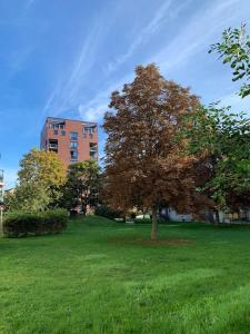 un arbre dans un champ devant un bâtiment dans l'établissement Eine gemütliche Einzimmerwohnung, à Ostfildern