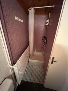 La petite salle de bains est pourvue d'une douche et de toilettes. dans l'établissement Appartement rdc calme6 pers, à Eaux-Bonnes