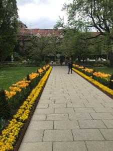 una persona che cammina lungo un vialetto in un parco con fiori di Privatzimmer Augsburg Rechts der Wertach a Augusta (Augsburg)