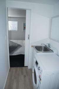 eine Küche mit einer Spüle und einer Waschmaschine in der Unterkunft Bach On Daniel in Martinborough 