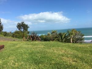 un champ d'herbe avec l'océan en arrière-plan dans l'établissement 90 Mile Paradise Ahipara, à Ahipara