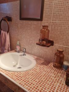 ein Badezimmer mit einem Waschbecken und einer gefliesten Theke in der Unterkunft Vikendica Pahuljica in Risovac