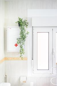 a bathroom with a plant on the wall next to a window at De la cama a la mar in Luanco