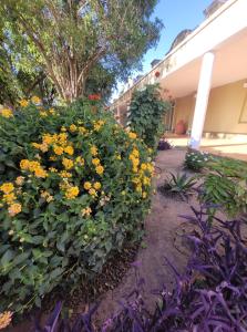 Un jardín fuera de Hotel Pórtico Norte