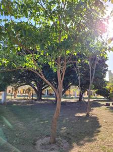 Un jardín fuera de Hotel Pórtico Norte