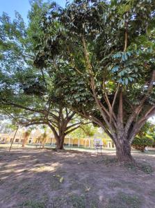 Un jardín fuera de Hotel Pórtico Norte
