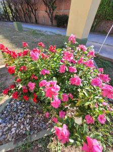 Un jardín fuera de Hotel Pórtico Norte