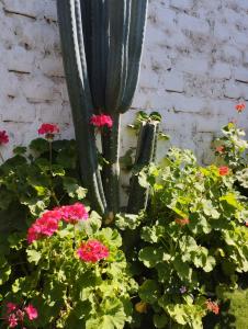 una estatua en un jardín con flores rosas en Casa Langla Lunahuana en Lunahuaná