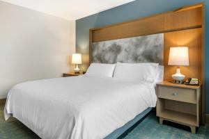 Holiday Inn Orlando – Disney Springs™ Area, an IHG Hotel في أورلاندو: غرفة فندقية بسرير كبير ومصباحين