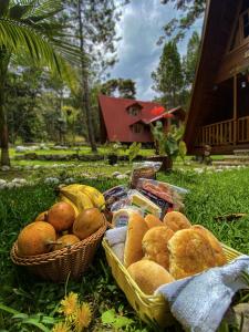 zwei Körbe Brot und Bananen auf dem Gras in der Unterkunft Oxablues Home Lodge in Oxapampa