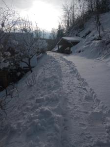 a snow covered path with a house in the background at Chalupa Mlyn Dolný Kubín in Dolný Kubín