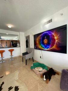 a dog laying on the floor in a living room with a tv at Comfortable room in the Brickell City Center area in Miami