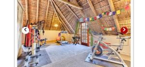 a gym with two treadmills and a bike in a building at Midrand Wild Goose Guest House B&B in Midrand