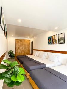 Posezení v ubytování Dalat Topview Homestay