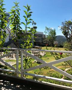 Zahrada ubytování Dalat Topview Homestay