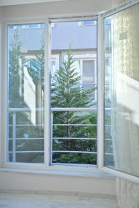 ein offenes Fenster mit Blick auf einen Baum im Freien in der Unterkunft Forest villa- 5 minutes from the airport in Arnavutköy