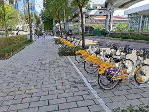 Attività di ciclismo presso l'ostello o nelle vicinanze