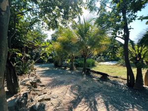 Zahrada ubytování Sukhothai City Resort