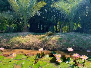 Zahrada ubytování Sukhothai City Resort