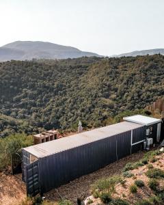 ein Gebäude an der Seite eines Hügels mit Bäumen in der Unterkunft Mountain Magic Hoekwil in Wilderness