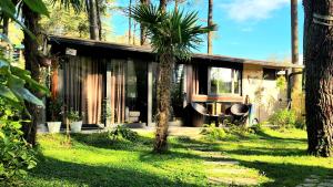 a house with a palm tree in front of it at House & Yard Sesil XS 60m to beach in Ureki