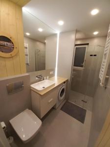 a bathroom with a toilet and a sink and a shower at Apartament u Szkutnika in Puck