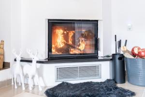 a fireplace in a living room with a tv at RENAISSANCE in Arachova