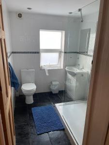 a bathroom with a toilet and a sink and a window at Shakers Inn in Harwich