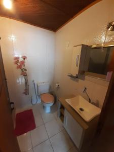 un piccolo bagno con servizi igienici e lavandino di Sunset Marambaia a Rio de Janeiro