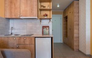Kuchyň nebo kuchyňský kout v ubytování New Gudauri Loft 2 Apartments