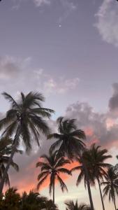 a group of palm trees against a cloudy sky at Kihori Nungwi in Nungwi