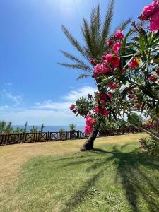 a tree with pink flowers in the grass at Düden Dream in Antalya