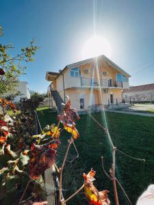 una casa con il sole che splende dietro una pianta di House of peace a Podgorica