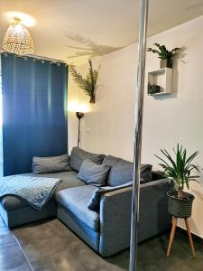 ein Wohnzimmer mit einem Sofa und einer blauen Wand in der Unterkunft La Perle d'Akoya in Saint-Leu